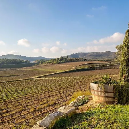 Villa Catalunya Casas Captivating In The Vineyard Close To Sitges