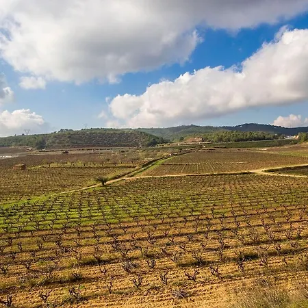 Catalunya Casas Captivating In The Vineyard Close To Sitges Villa *